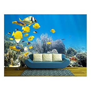 BRAND_NAMEUnderwater Coral Reef Scenery with Colorful School of Fish