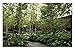 Designing a Garden: Monk's Garden at the Isabella Stewart Gardner Museum