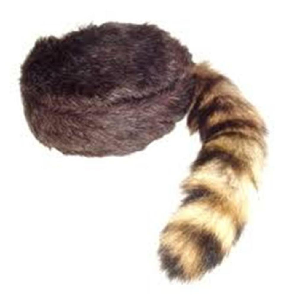 Kids Raccoon Hat With Tail - Soft Plush Coonskin Winter Hat, Adjustable For Ages 4-12