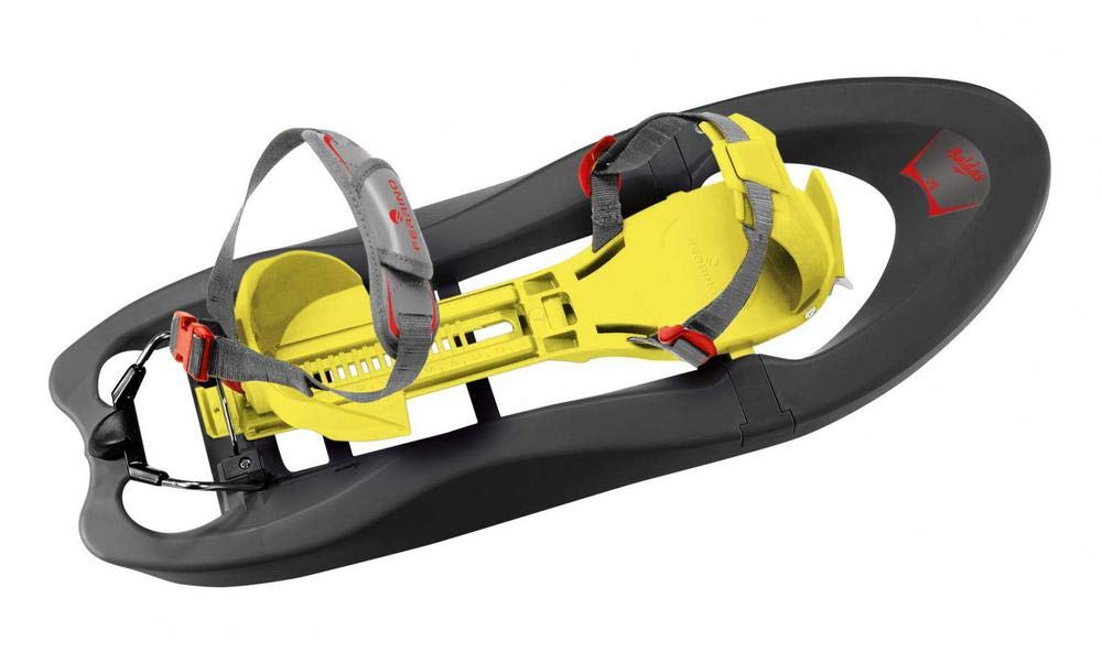 Ferrino Lys Castor, ciaspole unisex-adulto, unisex adult, Lys Castor, grey, L