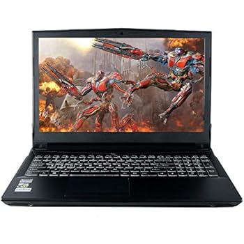 CUK N950VR Gaming Laptop (Intel i7-8700, 32GB RAM, 1TB NVMe SSD + 2TB HDD, NVIDIA GeForce GTX 1060 6GB, 15.6
