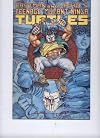 Teenage Mutant Ninja Turtles Vol.1 #48