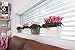 Lechuza 15460 Delta 10 Self-Watering Planter for Indoor and Outdoor Use, 12