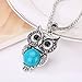 Paxuan Womens Vintage Owl Turquoise Jewelry Sets Retro Silver Turquoise Owl Pendant Necklace Drop Earrings Link Bracelet Set (Turquoise)