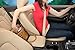 Allstar Innovations Purse Pouch PU011124 Car Purse Storage (Original As Seen on TV)