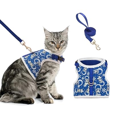 BINGPET Escape Proof Cat Harness and Leash Set Ghana Ubuy