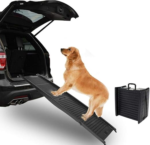 dog ramp for car back seat