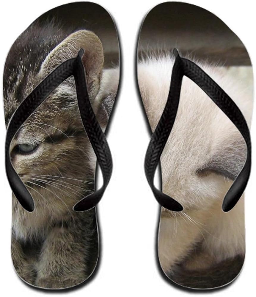 Animal Cat Colorful Flip Flop Rubber 13 B(m) Us Men