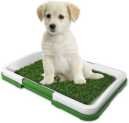 Huisdier Hond Binnen Potty Hond Gras Mat Trainingsmat Huisdier Niet Giftige Synthetische Mat Amazon Nl