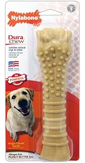 daisy dog breeders near me