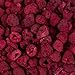 Harmony House Foods Freeze-Dried Whole Raspberries (3.5 oz, Quart Size Jar) - Set of 2