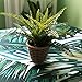 Uphome Palm Leaves Pattern Tapestry Hanging Light-Weight Polyester Fabric Wall Decor (60