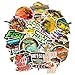 Go Fishing Stickers[65PCS], Cool Outdoor Adventure Stickers for Tackle Box Laptop Phone Computer Tool Box Water Bottle Luggage Storage Car, Waterproof Graffiti Decals for Fisherman Fishing Enthusiast