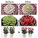 Winjoy LED Grow Light for Indoor Plant, Upgraded Full Spectrum Plant Light with Replaceable Bulb,Dual Head 45W Plant Grow Lamp with Flexible Gooseneck, Professional for Seedling Blooming Fruit …