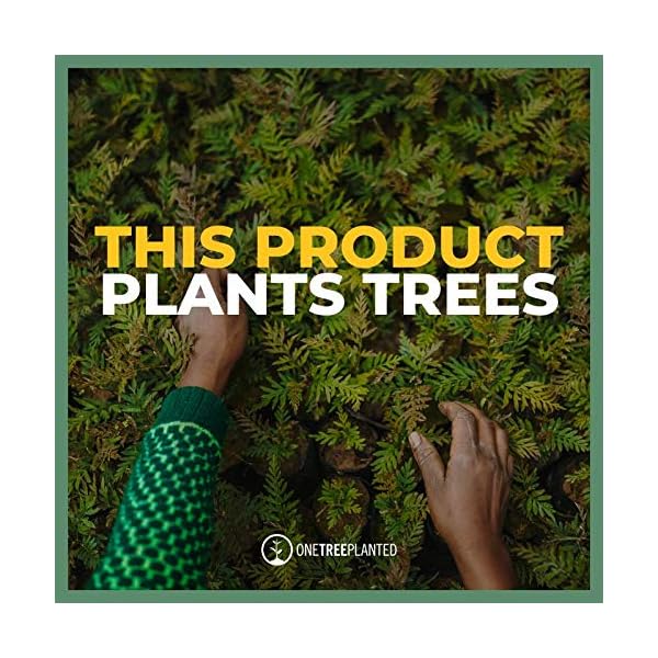 Seedzbox-Ultimate-Deluxe-Hamster-Food-Seed-and-Nut-Mix--Natural-Healthy-Treats-and-Feed-for-Pet-Hamsters-Gerbils-and-Mice--Sunflower-Seeds-Peanuts-Maize-Barley-Vitamin-C-and-Peas--1kg-Bag Hamster Food Seed and Nut Feed Mix 1kg - SeedzBox Deluxe Hamster Forage Food - Natural Healthy Food For Pet Hamsters…