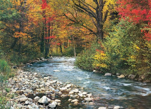 Eurographics Forest Stream 1000-Piece Puzzle