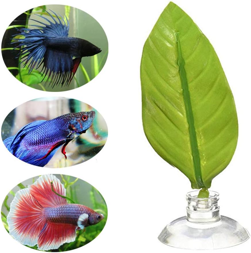 leaf for betta fish