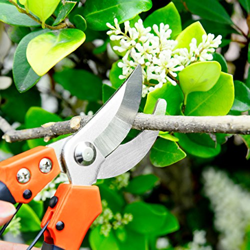 GANCHUN Pruning Shears Stainless Steel Garden Pruner 8" Bypass Garden Shears for Bonsai,Branch,Tree Trimmer,Flowers. - Thumbnail 3