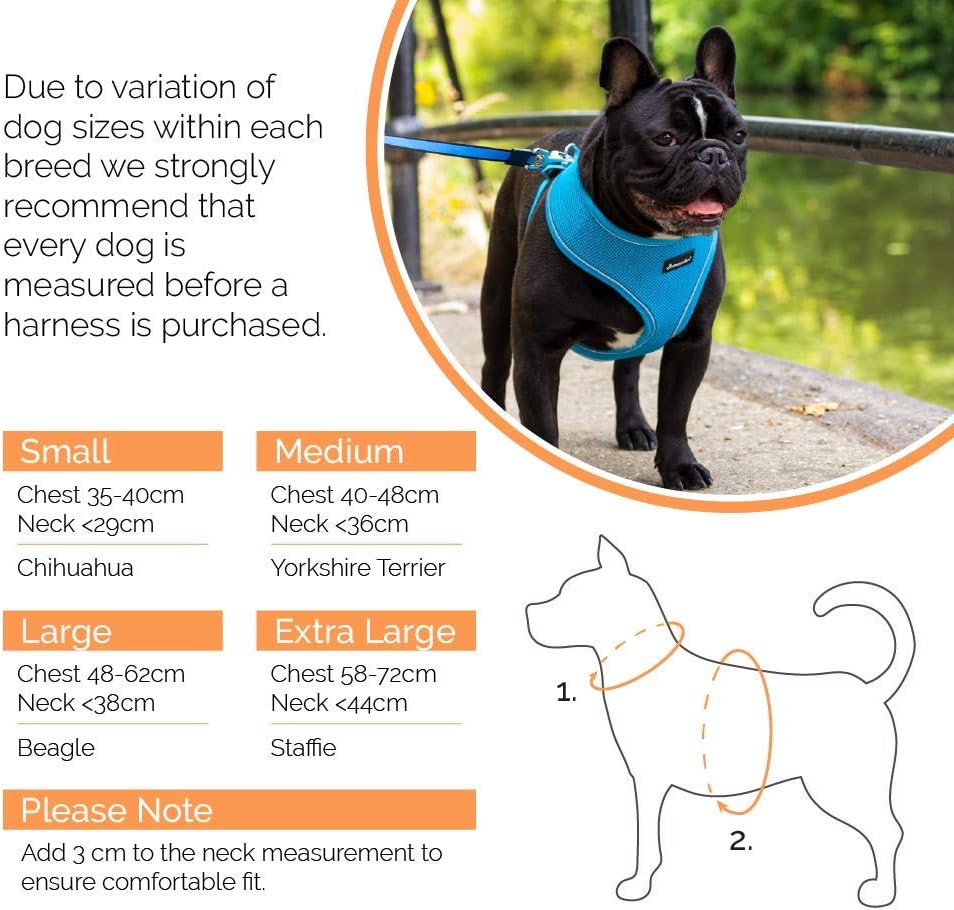all pet solutions harness