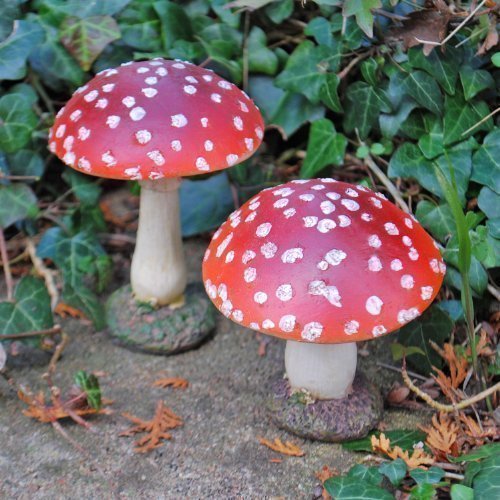 Toadstool Ornament | Garden Ornaments, Toadstool, Ornaments