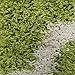 Maxy Home Shag Area Rug, New Moroccan Trellis Green, Everyday Use, 5' x 7' (60 inch x 84 inch)