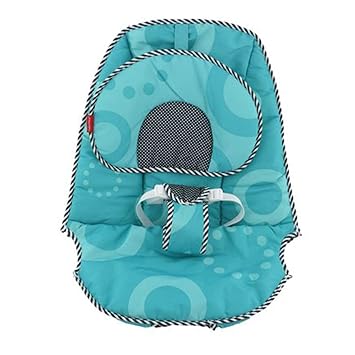 fisher price 2 in 1 sensory stages bouncer