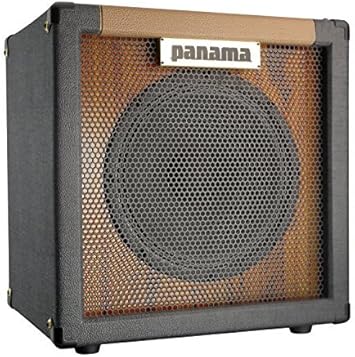 oversized 1x12 cab