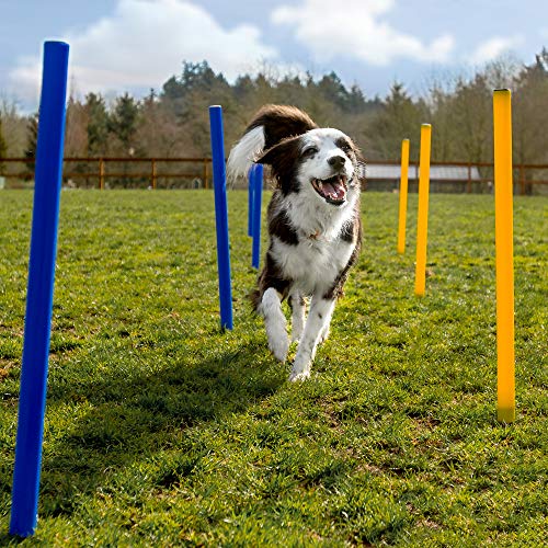 CHEERING PET Dog Agility Training Kit - 29 Piece Obstacle Course with 58.5" Long Tunnel, Adjustable Hurdles, Poles, Whistle, Rope Toy, Treat Bag - Pet Outdoor Play Equipment with Carrying Case