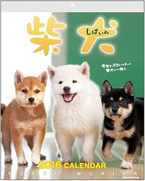 Amazon アクティブコーポレーション 柴犬 カレンダー 16年 壁掛け 森田米雄 Acl 11 手帳 カレンダー 文房具 オフィス用品