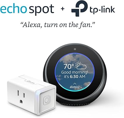 echo spot plug