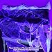 Colonel Pickles Novelties Spider Web Stretchy Fake Webs Halloween Decorations – Covers 850 Sq. Ft - with 20 Plastic Spiders