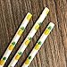 Pineapple Theme Paper Straws - Yellow Green White - Hawaiian Luau - 7.75 Inches - 100 Pack - Outside the Box Papers Brand