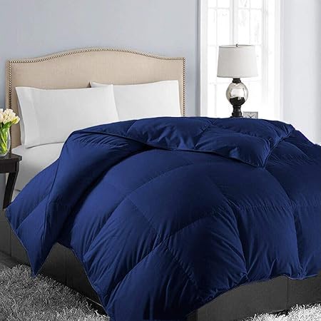 Amazon Com Easeland All Season Queen Size Soft Quilted Down
