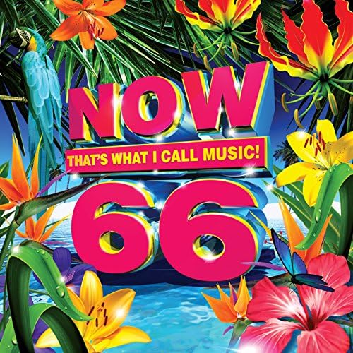 NOW 66