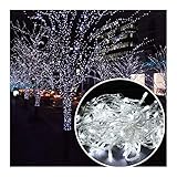 SenKa LED Light 50ft 200 LED Bulbs Fairy Light String Holiday LED Outdoor Lighting for Christmas Party Decoration Waterproof (50ft 200 LEDs, White)