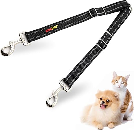 amazon double dog leash