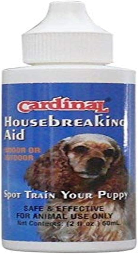 paddling pool for dogs argos