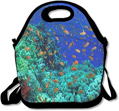 ZDTSQWY Lunch Boxes Ocean Life Lunchbox Food Container Lunch Tote Handbag Cool Fashion Designer Lunch Box For Work, Office, School
