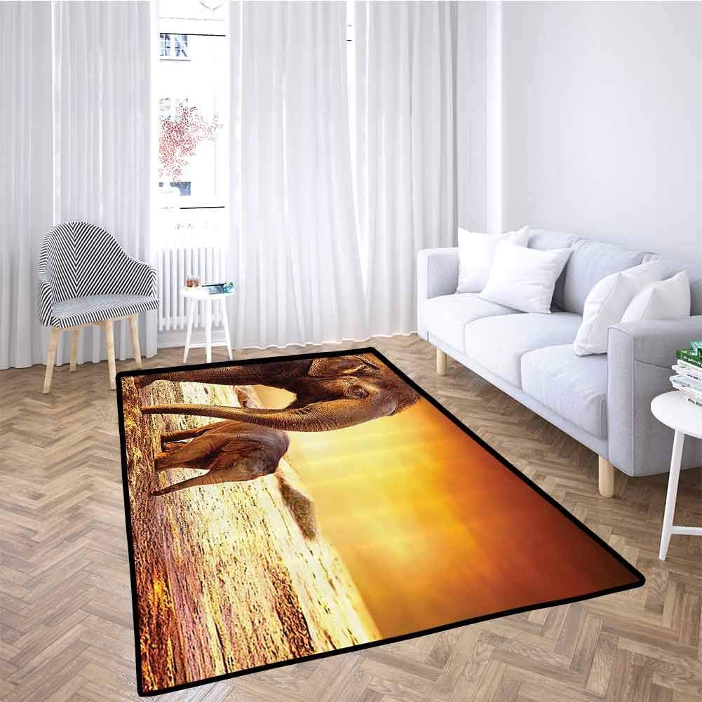 Zoo Decorations Living Room Area Mat Rug Mother and Baby Elephant Family in Kenya Landscape Environment Gift for Children 4x6 Feet