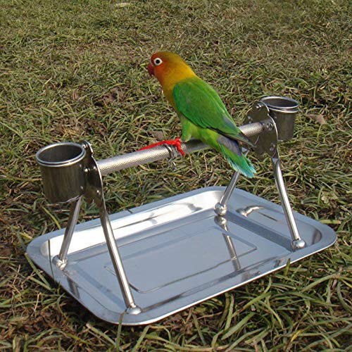 Bird Tabletop Perch Stand Stainless Steel Play Gym Playstand with Cups and Tray for Budgie Parakeet Cockatiel Conure (S)