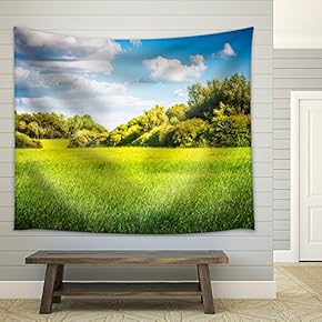Green Field with Trees and Blue Sky. Nature Landscape in Summer - Fabric Wall Tapestry Home Decor - 51x60 inches