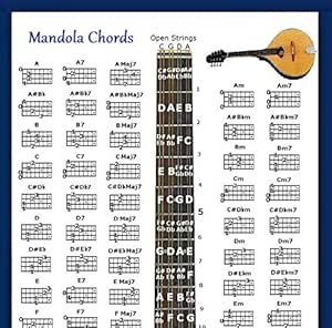 Amazon.com: MANDOLA CHORDS POSTER &amp; NOTE LOCATOR: Musical Instruments