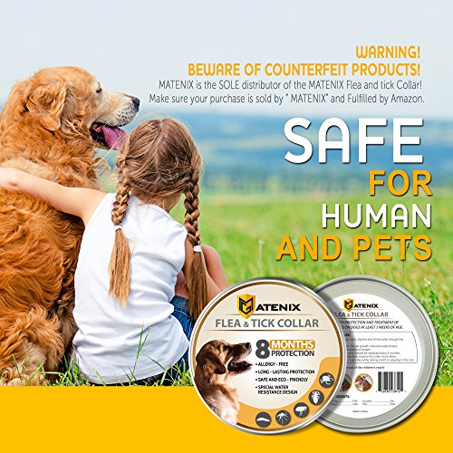 ONMOG Dogs Flea and Tick Prevention - Best Pests Control Collar for Dogs - Easy Adjustable and Water Resistance Collar - Ultra Safe for Pets and Pet's Owners with Natural Essential Oils