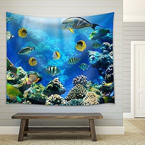 Photo of a Tropical Fish on a Coral Reef - Fabric Wall Tapestry Home Decor - 51x60 inches