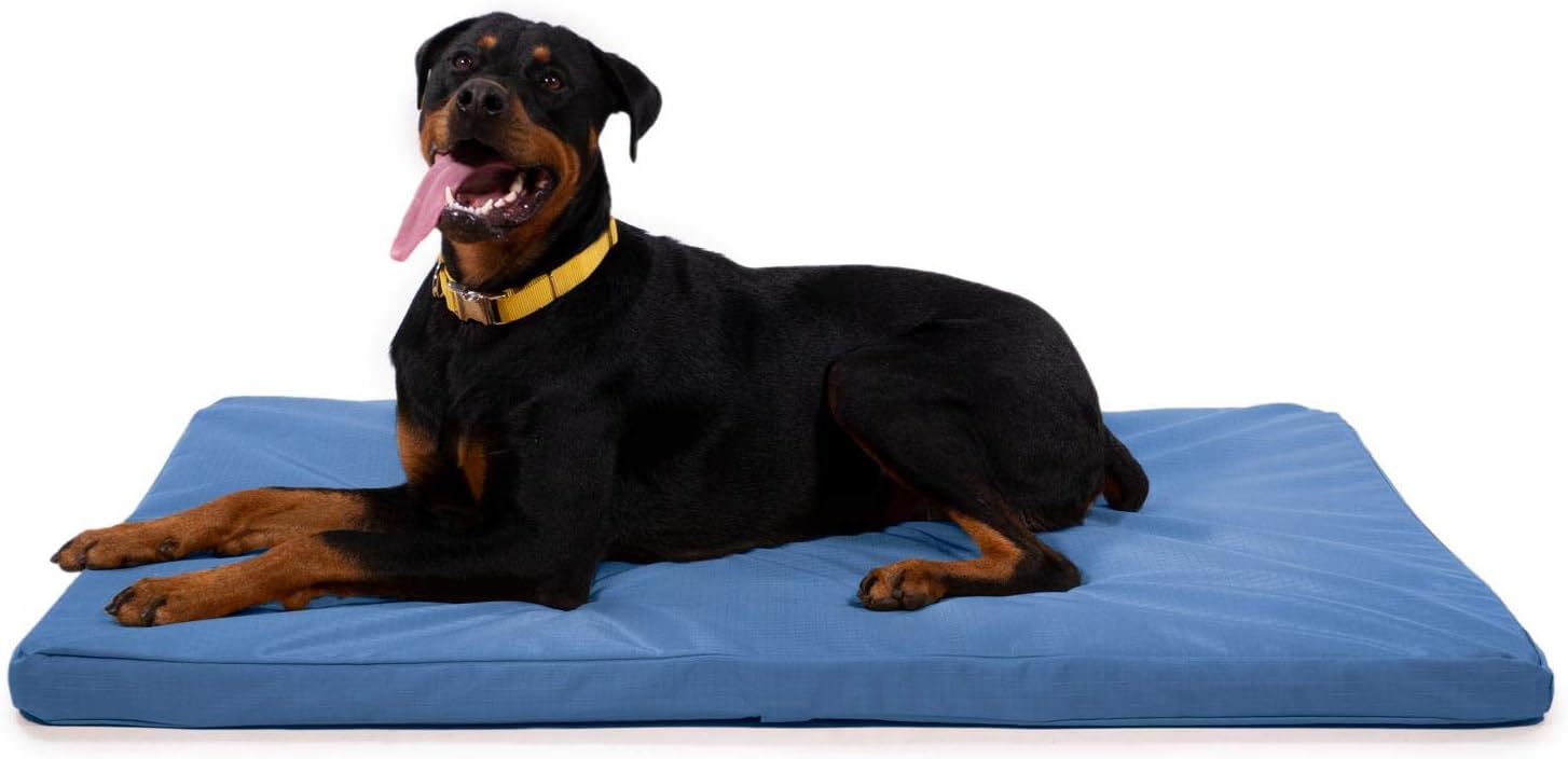 chew proof kennel pad