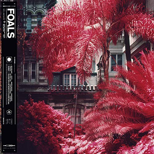 Album Art for Everything Not Saved Will Be Lost [Part 1] (LP) by Foals