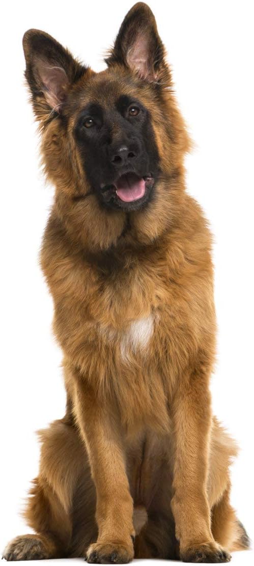 german shepherd cake pan