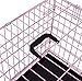 Internet's Best Wire Dog Kennel | Large (42 Inches) | Double Door Metal Steel Crates | Indoor Outdoor Pet Home | Folding and Collapsible Cage | Pink
