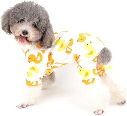 toy poodle pajamas