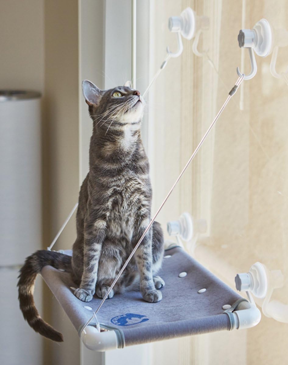 Cat Window Perch Bed | Kitty Window Bed Hammock | 50lbs Suction Cups Cat Bed| Elegant Window Sill Cat Bed | Best Cat Climber Shelve with Stainless Steel Cables and Soft Rubber Protection